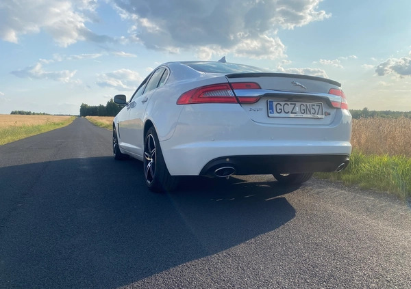 Jaguar XF cena 61500 przebieg: 62000, rok produkcji 2013 z Radomsko małe 137